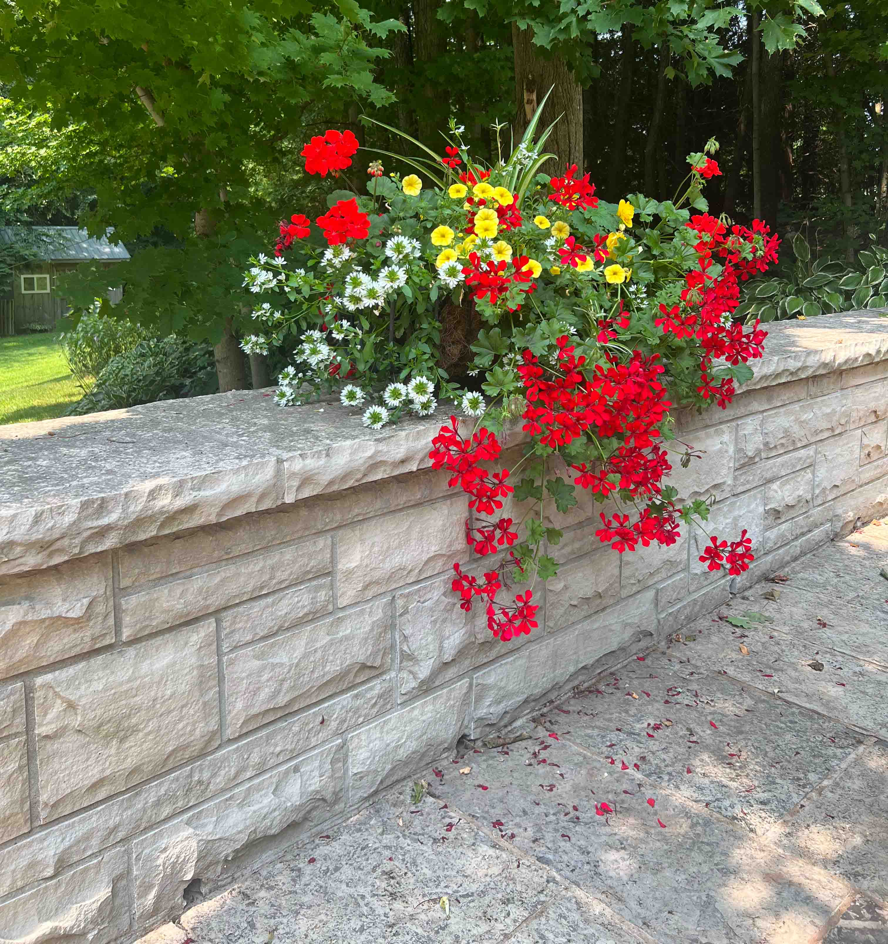 Flowers on a stone ledge